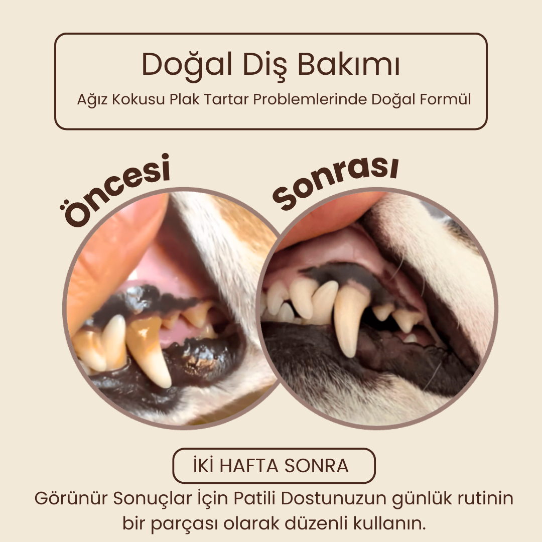 Pakpati™ Ağız Bakım Seti