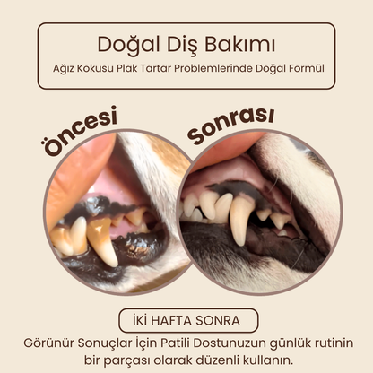 Pakpati™ Ağız Bakım Seti