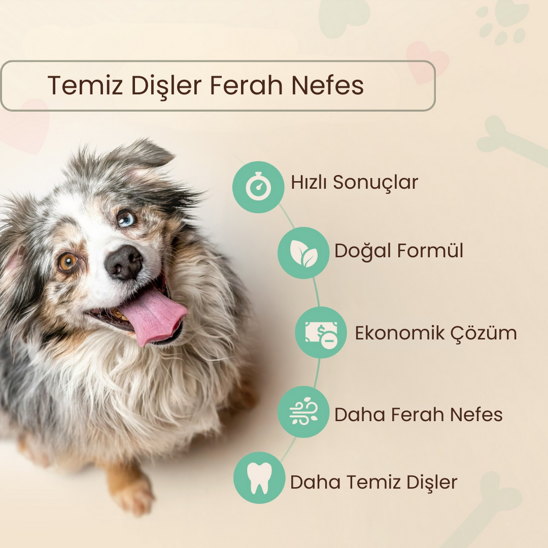 Pakpati™ Ağız Bakım Seti