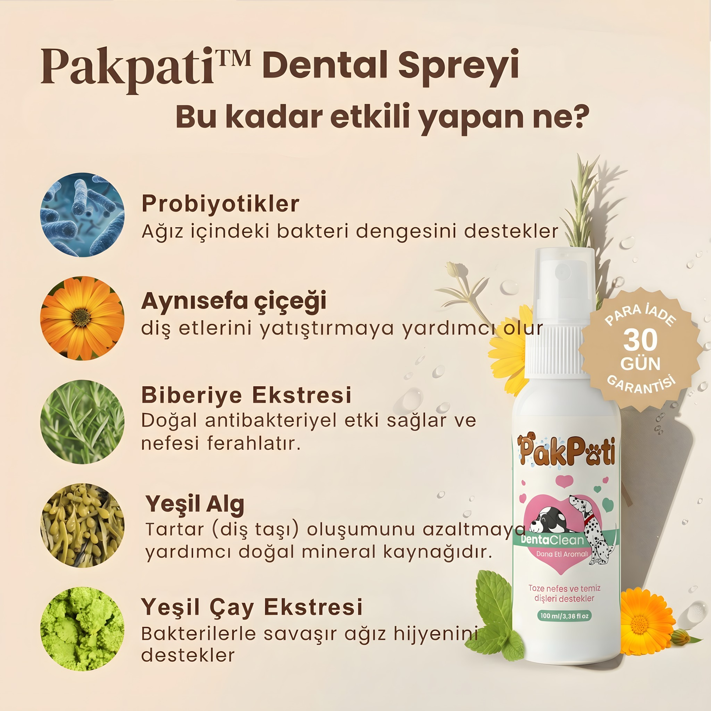 Pakpati™ Ağız Bakım Seti